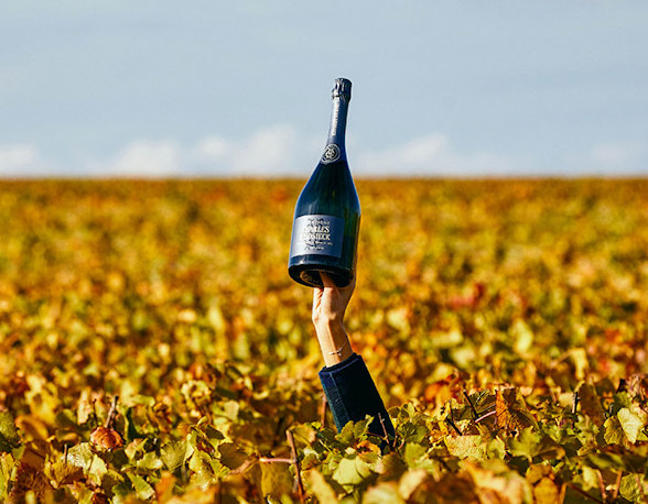 Champagne Heidsieck 735x572