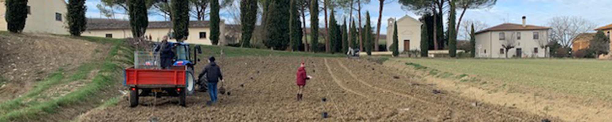 8. Scacciadiavoli