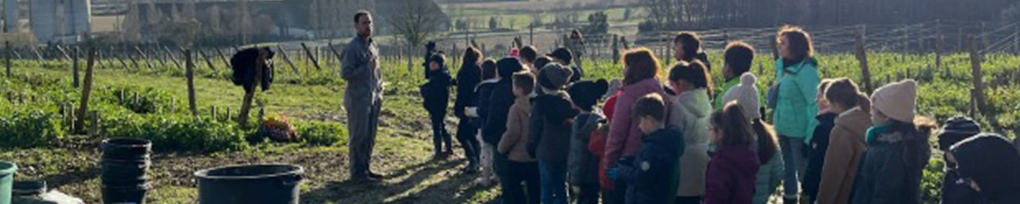 3. Brumont