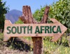 Wooden vineyard sign South Africa