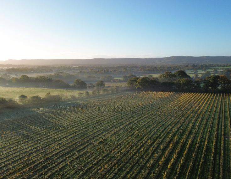 Misty aerial shot of Ridgeview vineyard