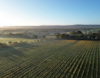 Misty aerial shot of Ridgeview vineyard view 2
