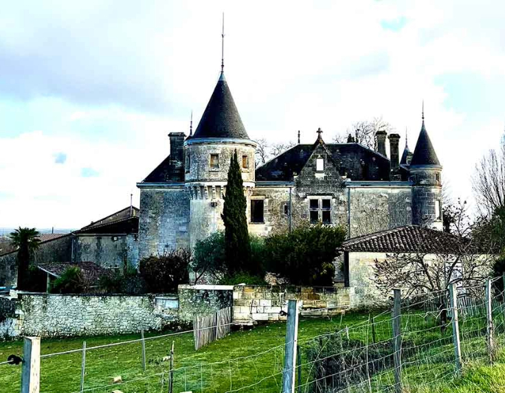 Bordeaux chateau