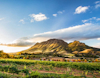 Mountain in South Africa with vineyards in forground