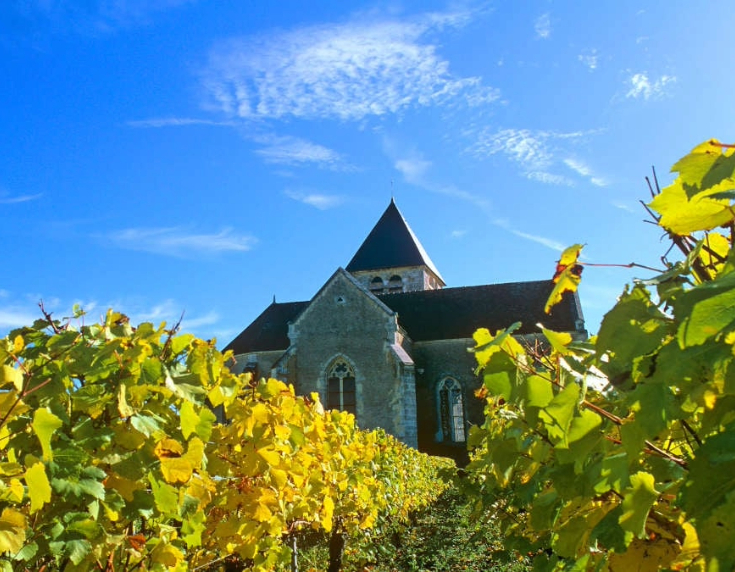 Vineyard and chateau and Chablis
