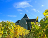 Vineyard and chateau and Chablis