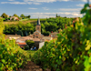 Vineyards in Beaujolais view 1
