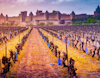 Vineyards in Carcassone