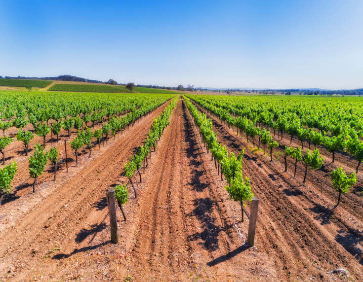 All Australian fine wines
