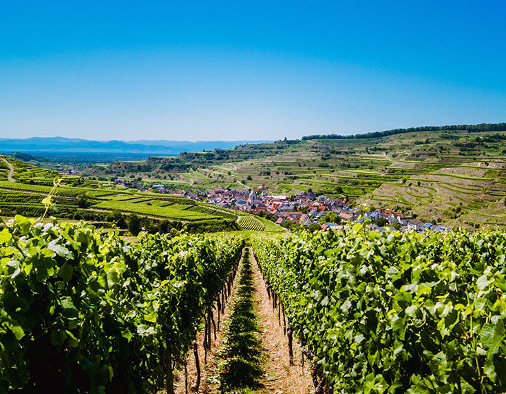 Explore France