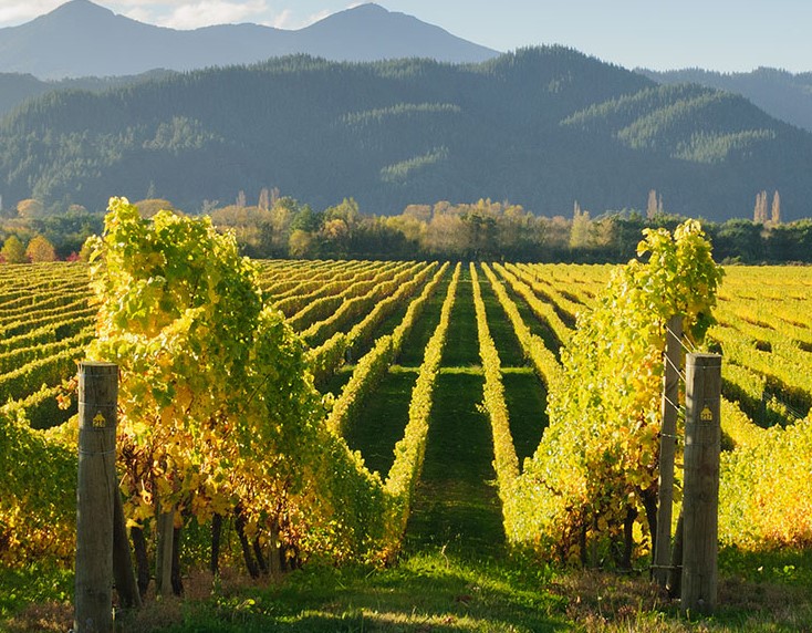 All New Zealand fine wines