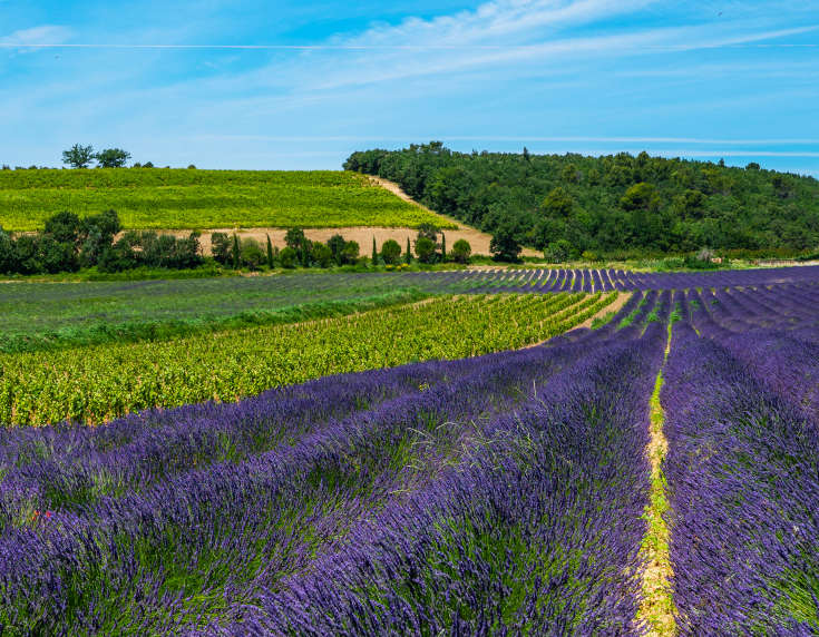 Provence