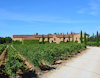 Ribera del Duero