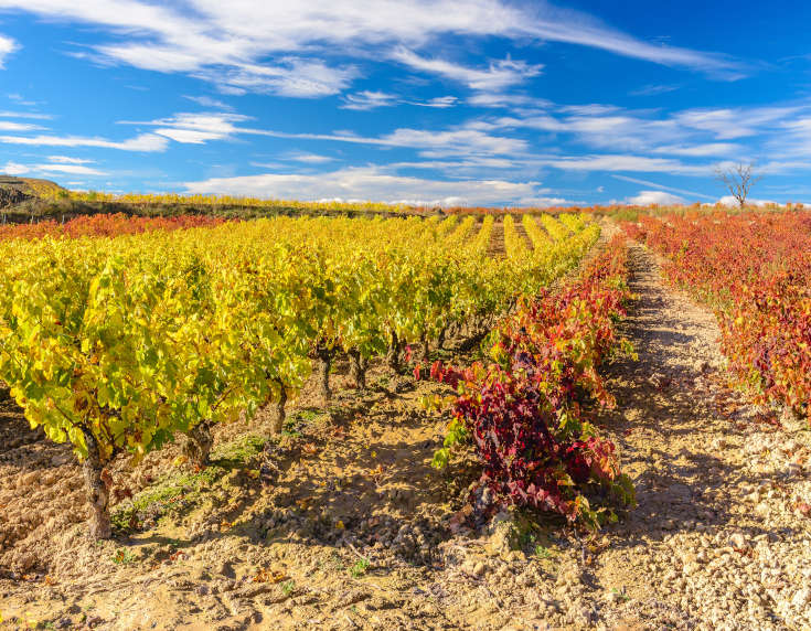 Rioja