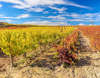 Rioja