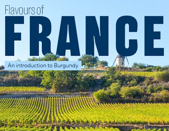 Burgundy 735x572px