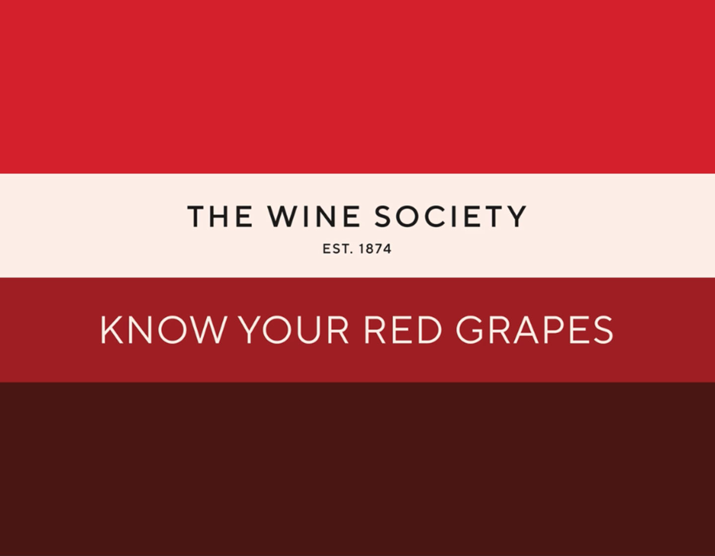 tasting-kit-red-pdp view 2