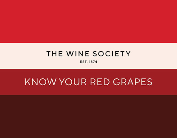 tasting-kit-red-row