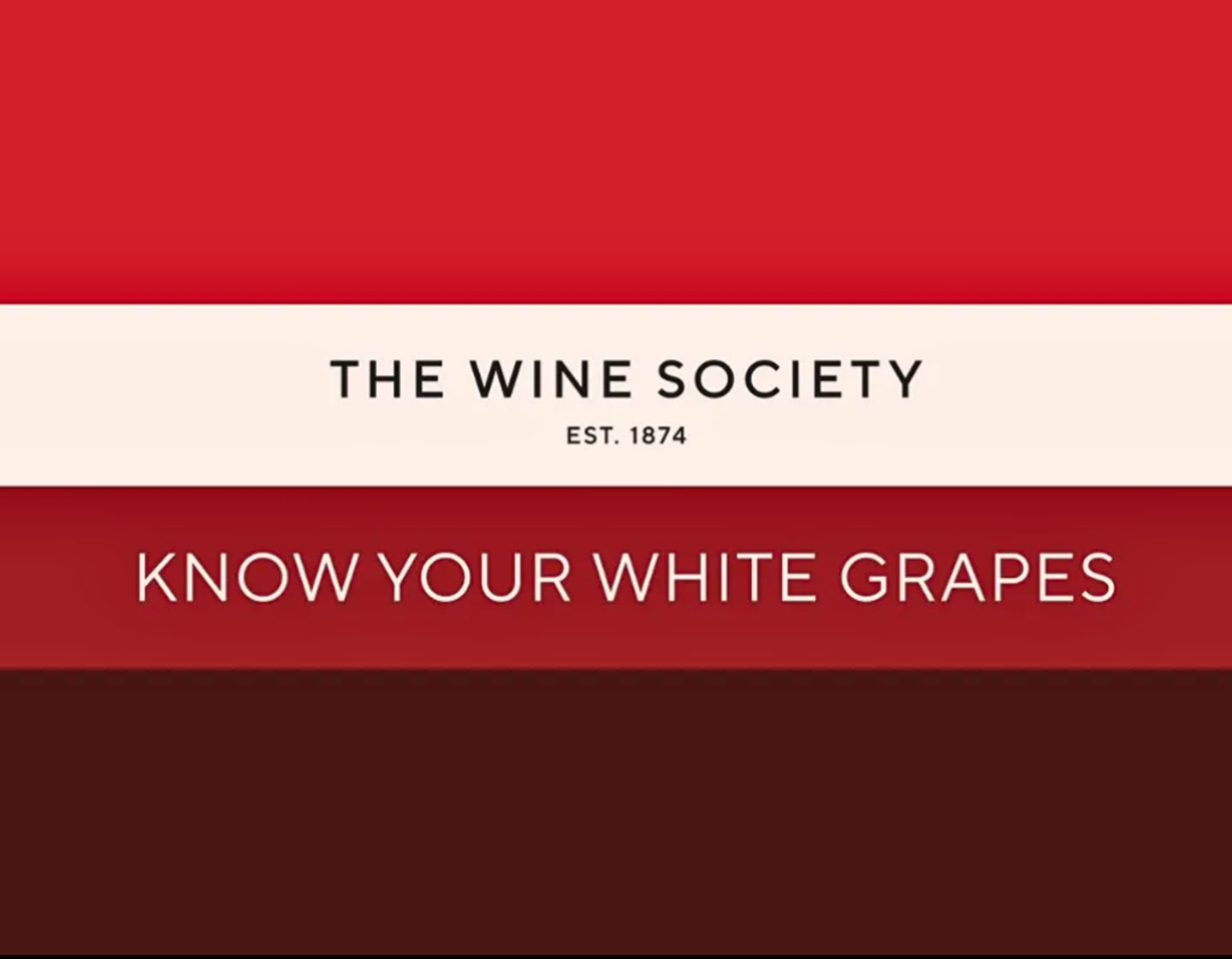 tasting-kit-white-pdp view 2