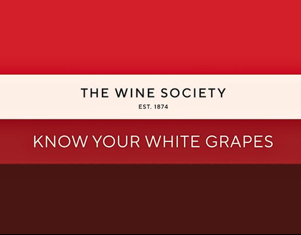tasting-kit-white-row